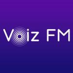 Voiz FM 1 năm